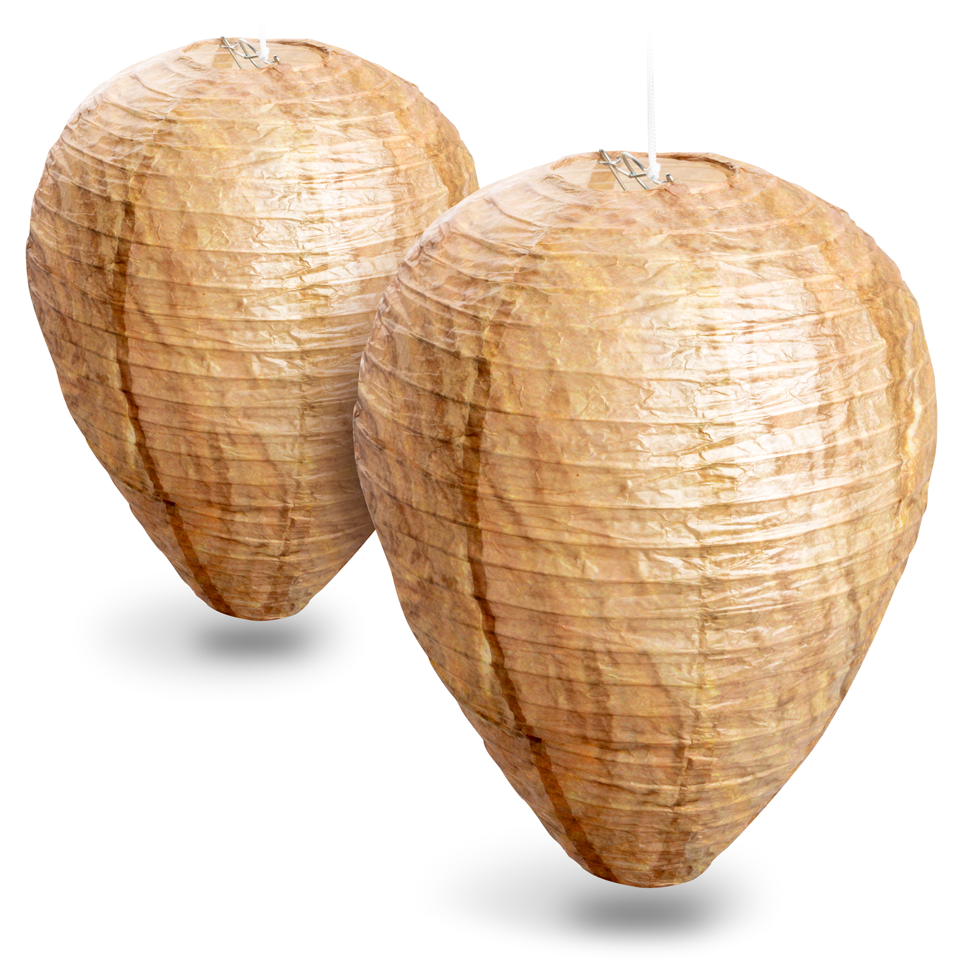 Nid de guêpe artificiel lot de Attrape-nids de guêpes