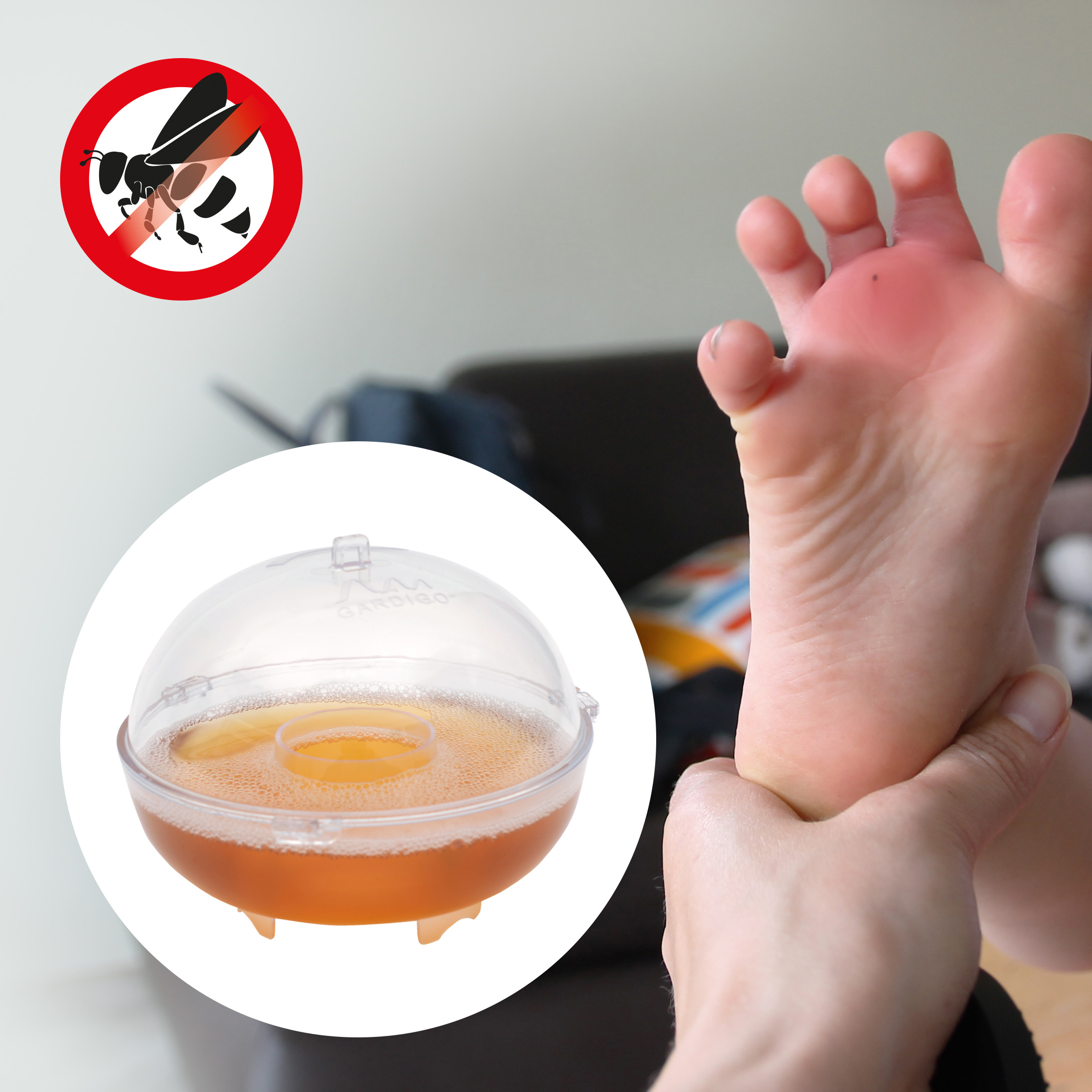 Piège à guêpes | lot de 2