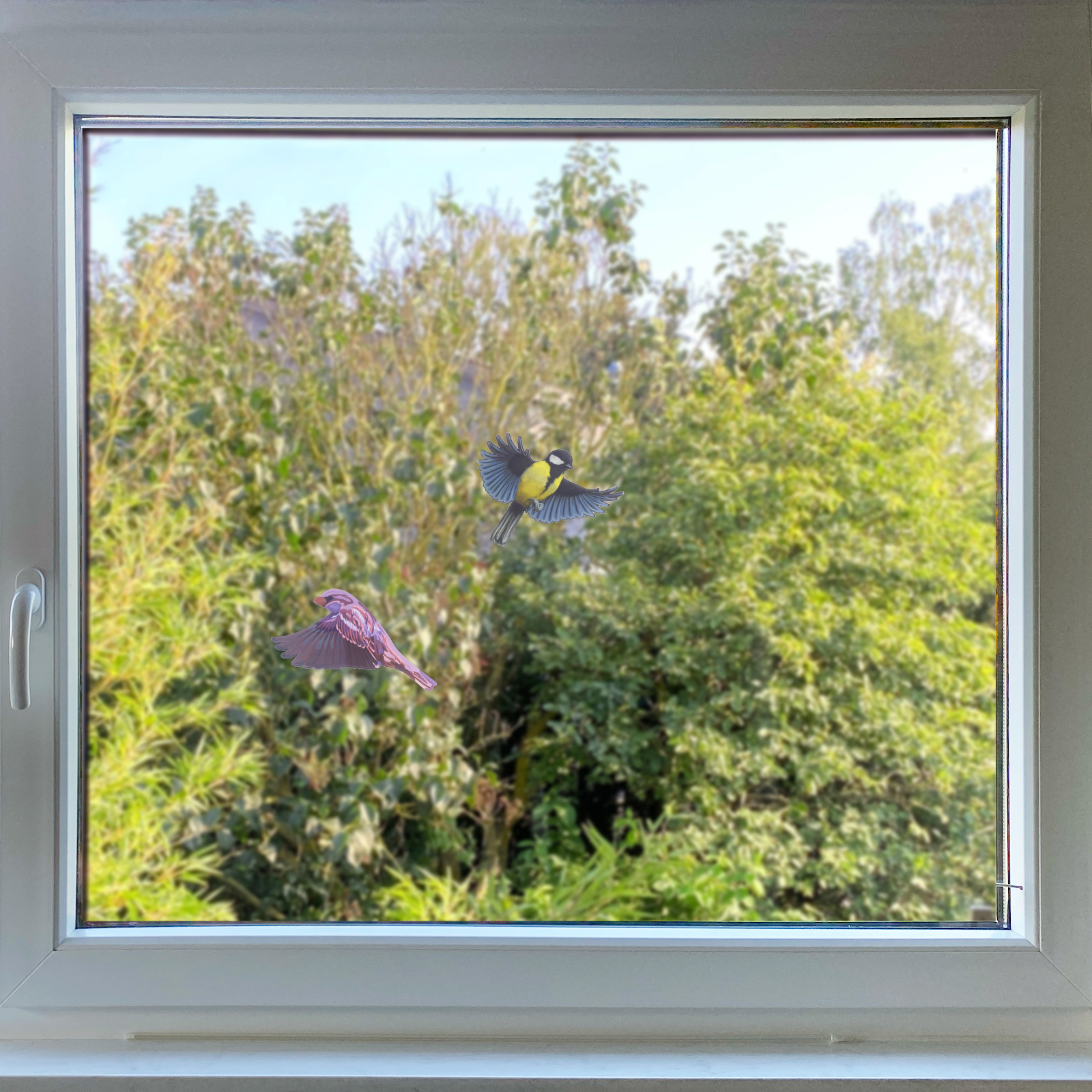 Helfen Sie den Vögeln & machen Sie Ihre Scheiben für die munteren Flieger sicherer.