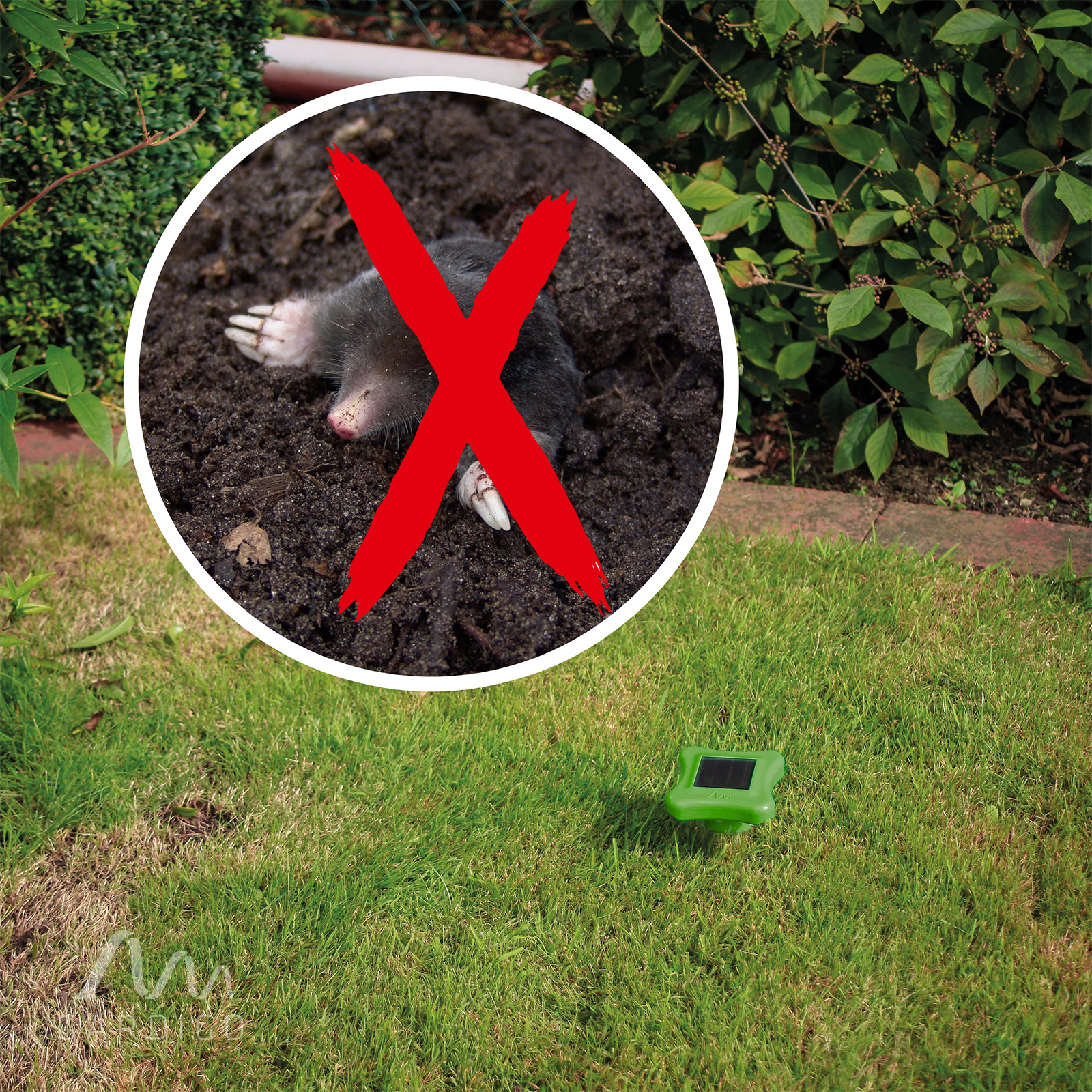 Maulwurfshügel machen den Garten sehr unansehnlich & sind unpraktisch für die Gartenpflege.