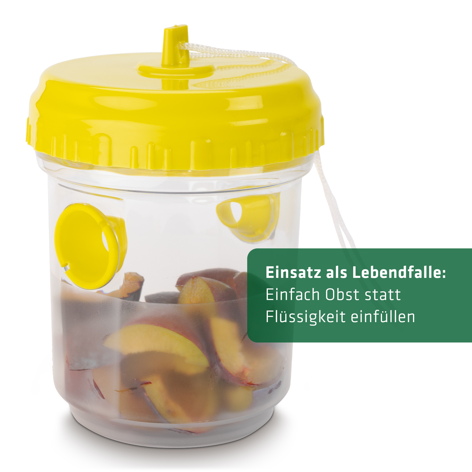 Lebendfalle gegen Wespen