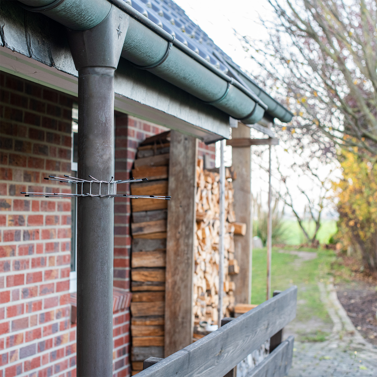 Ceinture de protection anti-martres lot de 2