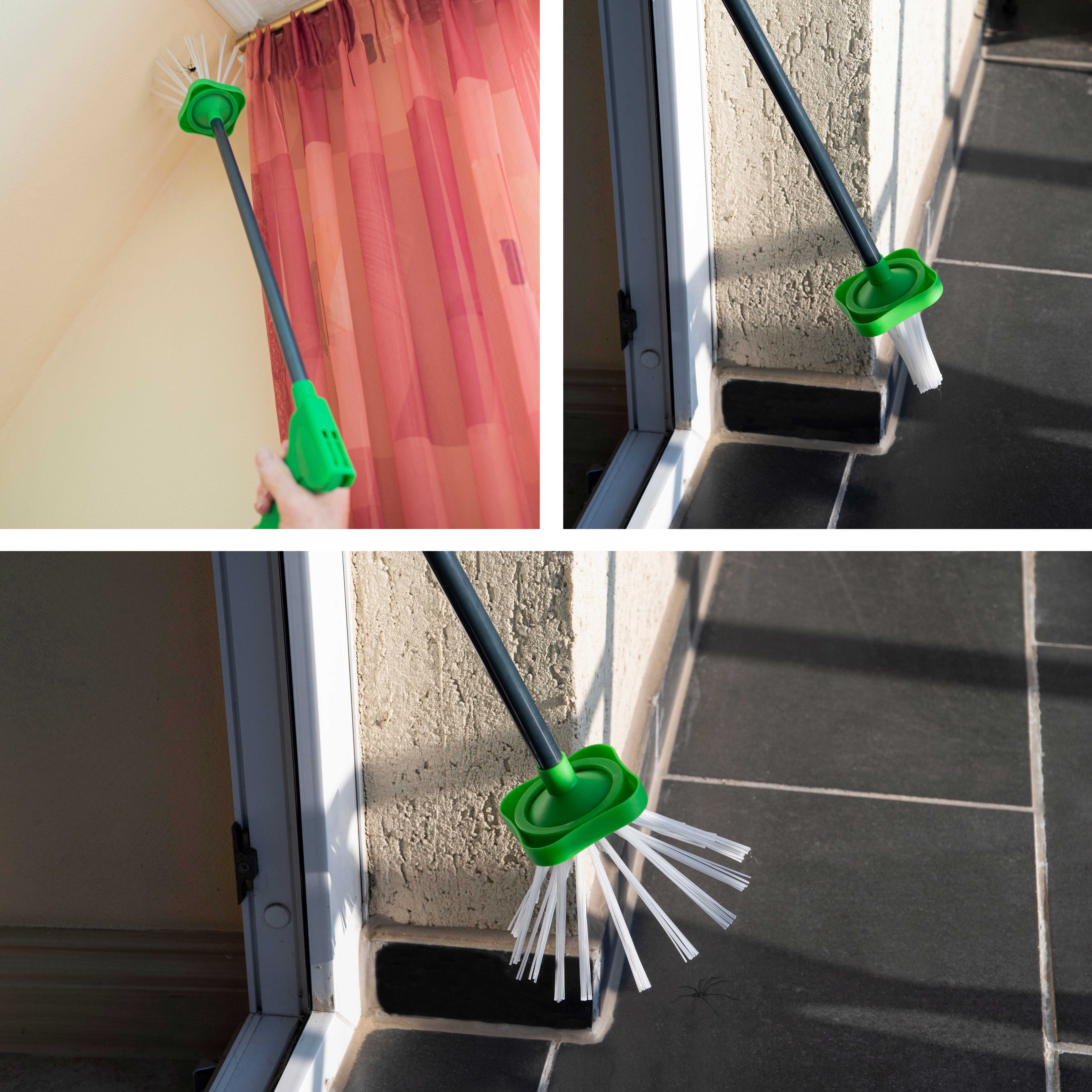 Der Spinnen-Greifer kommt auch in die entferntesten Ecken der Wohnung und schadet den Insekten nicht.