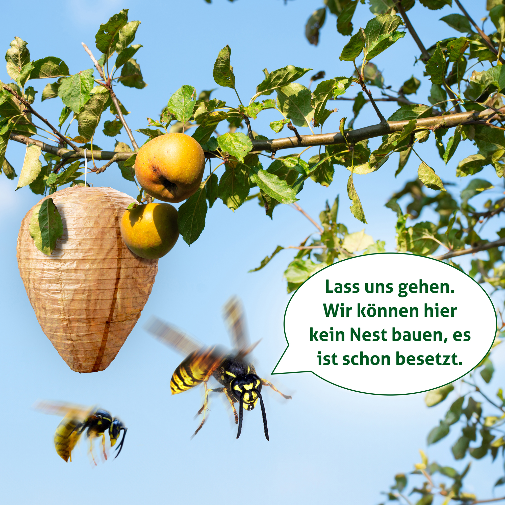 Nid de guêpe artificiel lot de 2