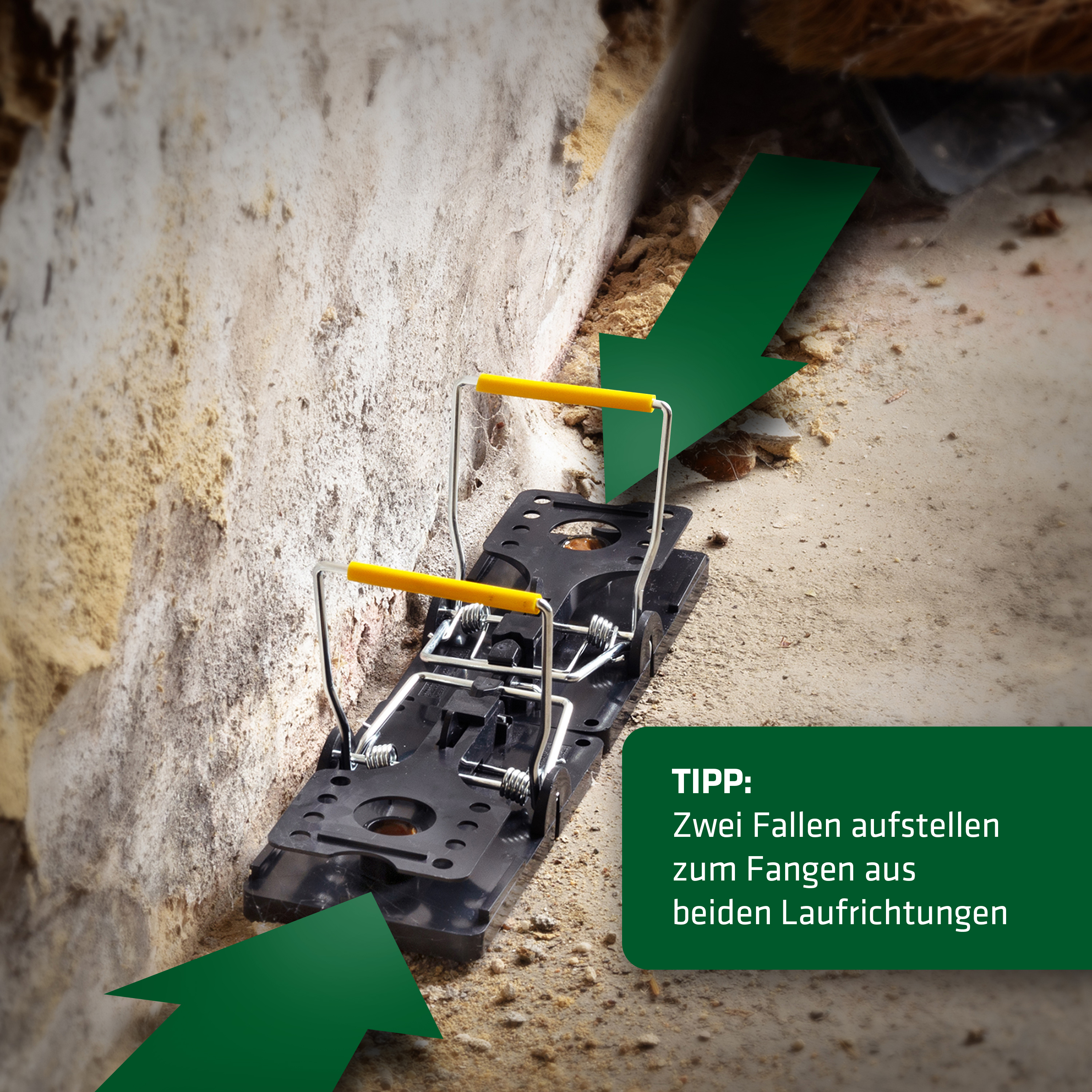 Piège à rat lot de 5