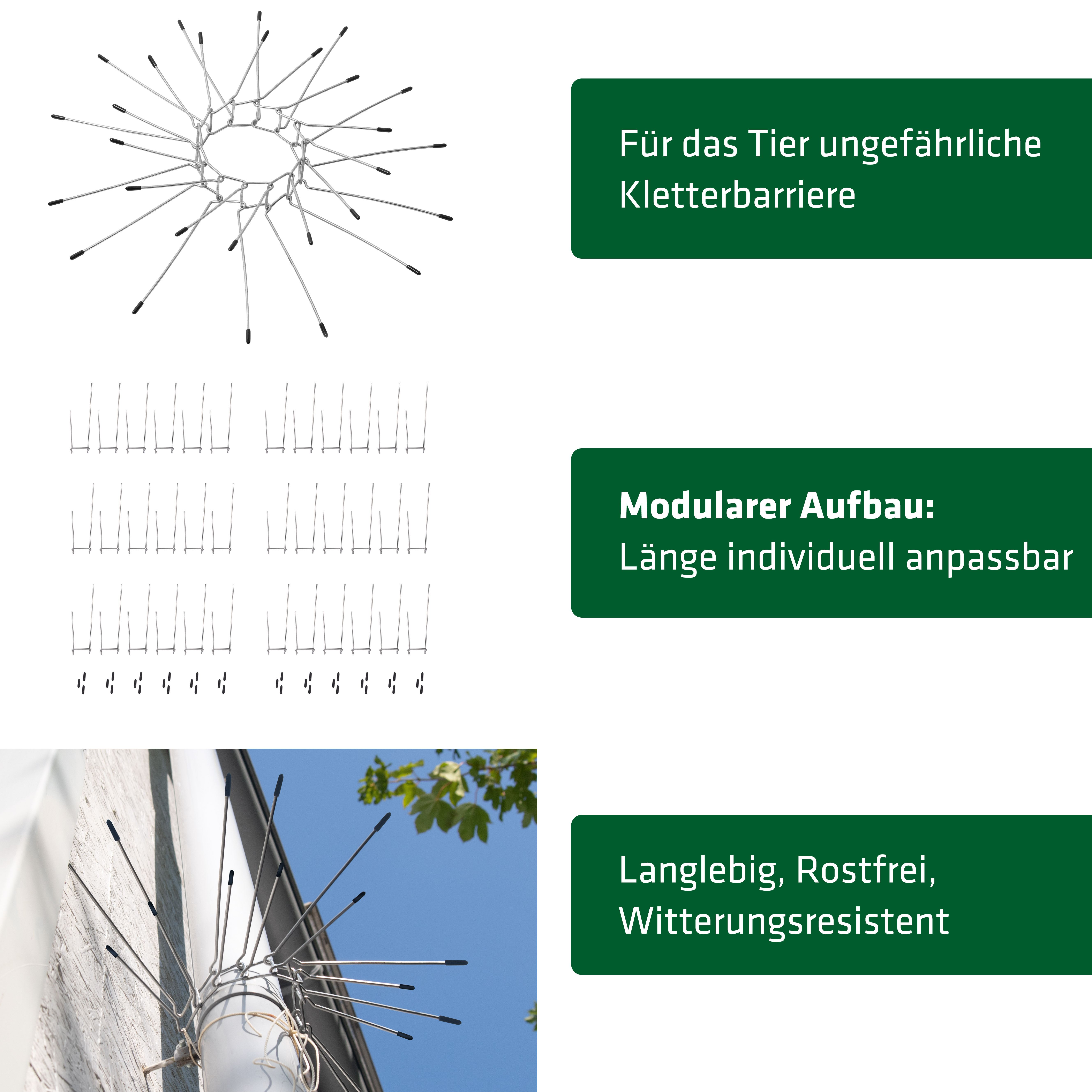 Ceinture de protection anti-martres lot de 2