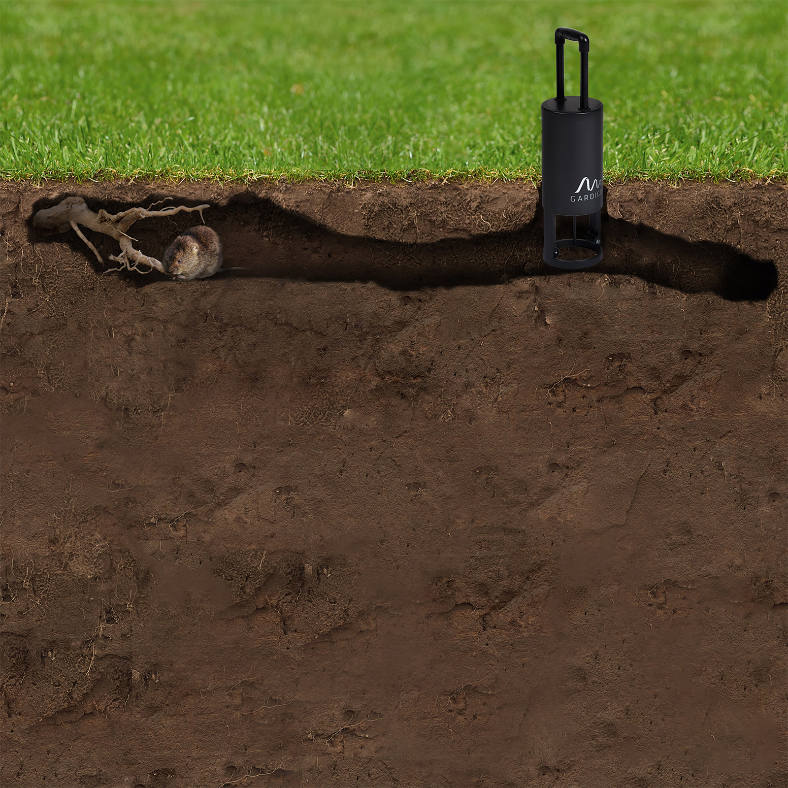Wühlmäuse graben einen Großteil ihrer Gänge direkt unter dem Rasen und dort setzt man auch die Fallen ein.