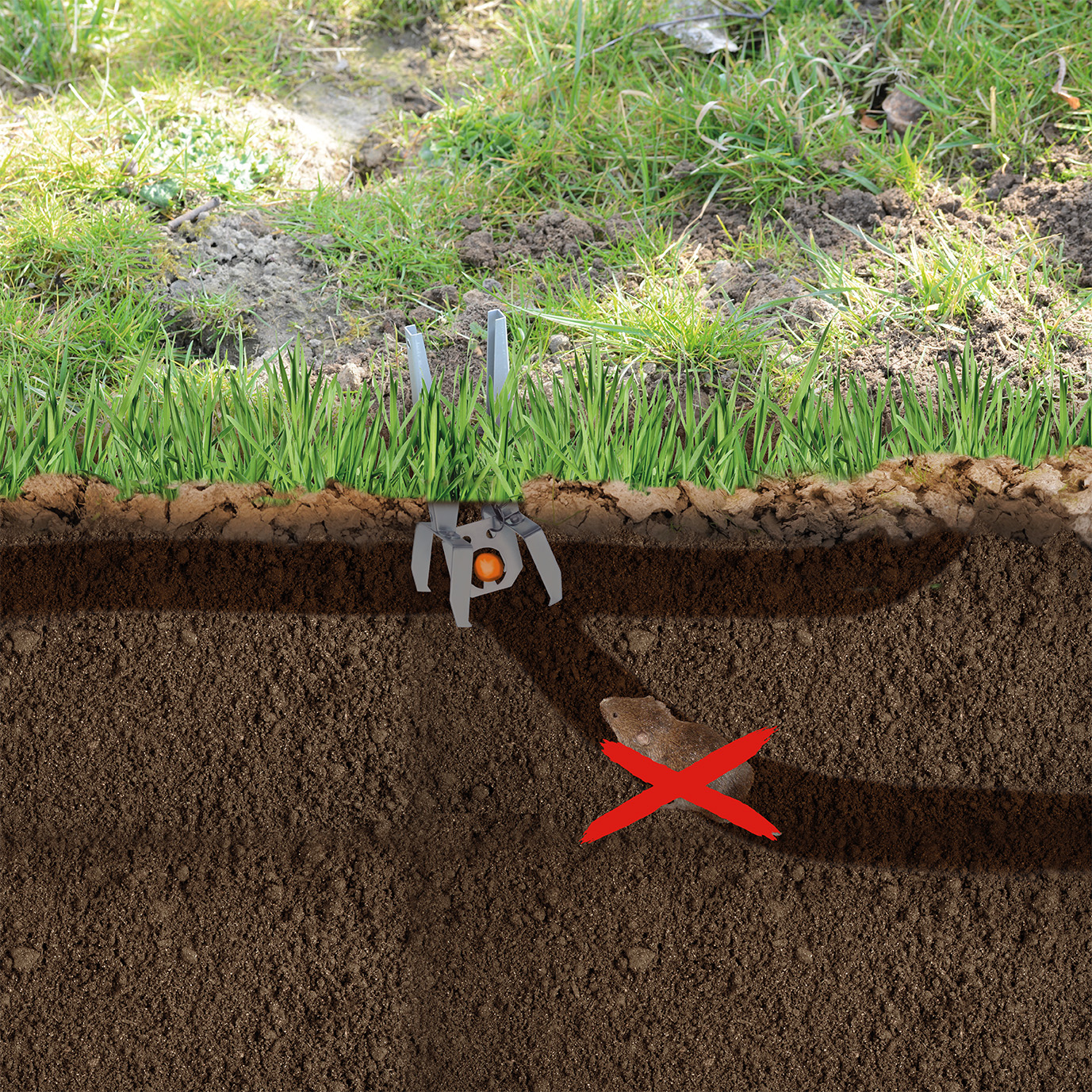 Die Falle wird in einen Tunnel eingesetzt und kann dann aus beiden Laufrichtungen fangen.