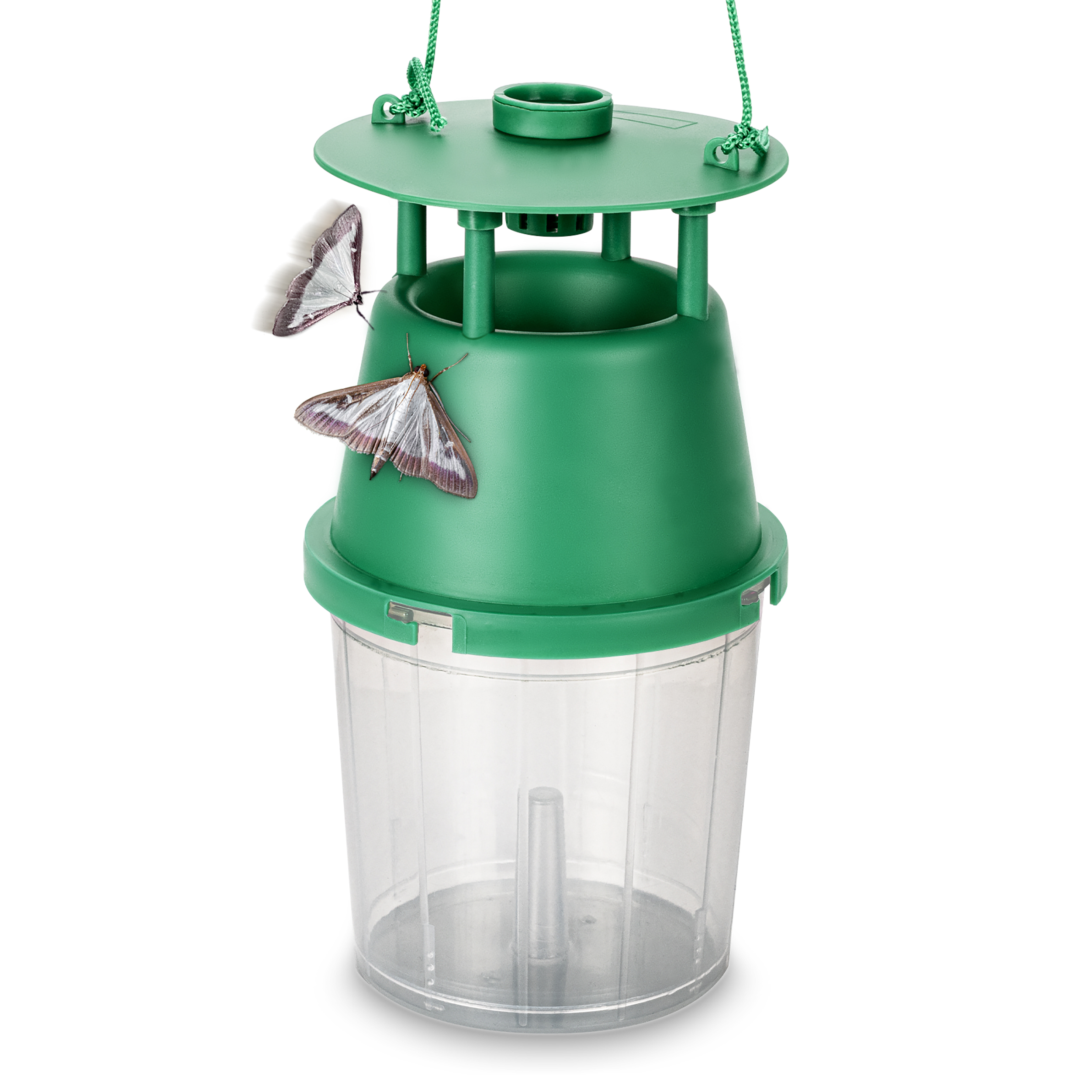 Piège à pyrale du buis