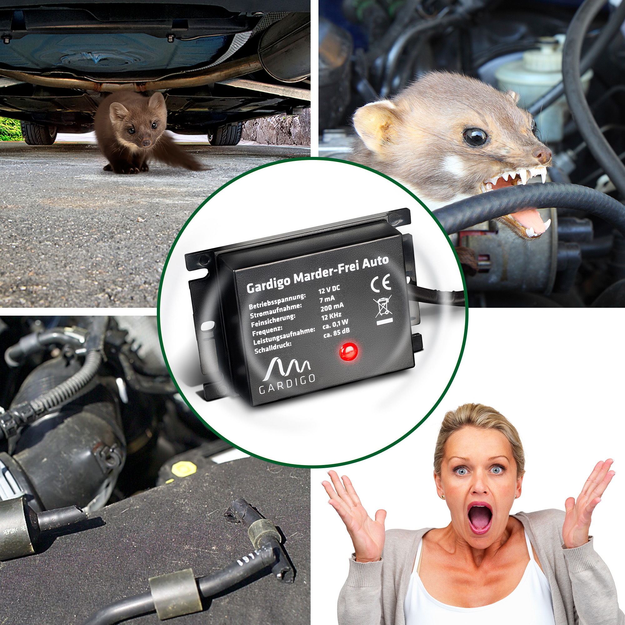 Répulsif anti-Martre pour voiture à ultrason