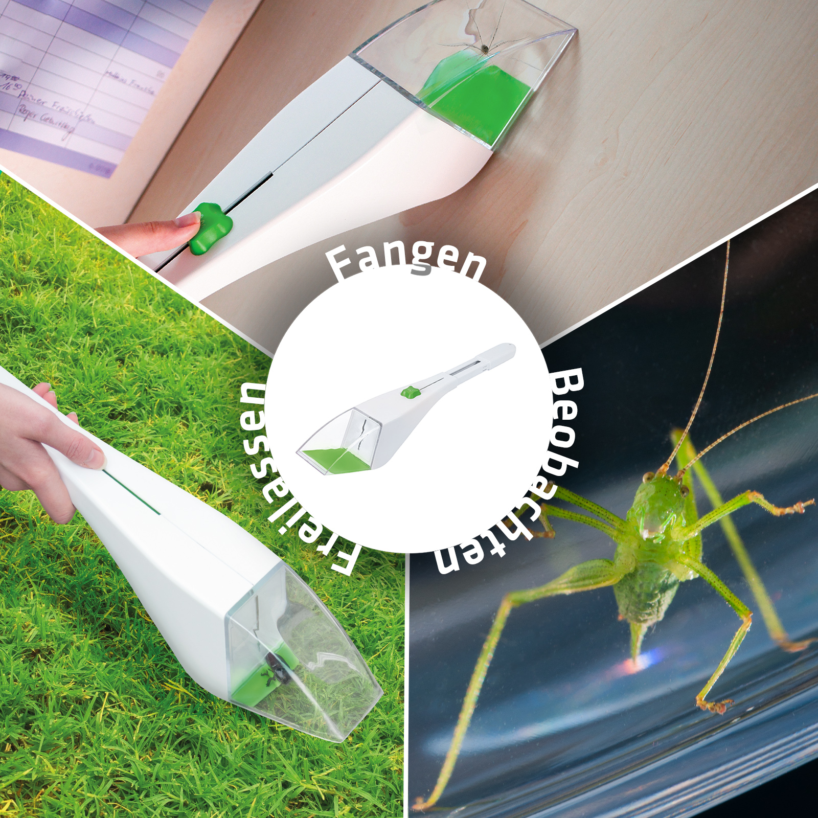 Für Kinder und Interessierte lassen sich die Tiere mit der Lupe ganz genau beobachten und danach frei lassen.