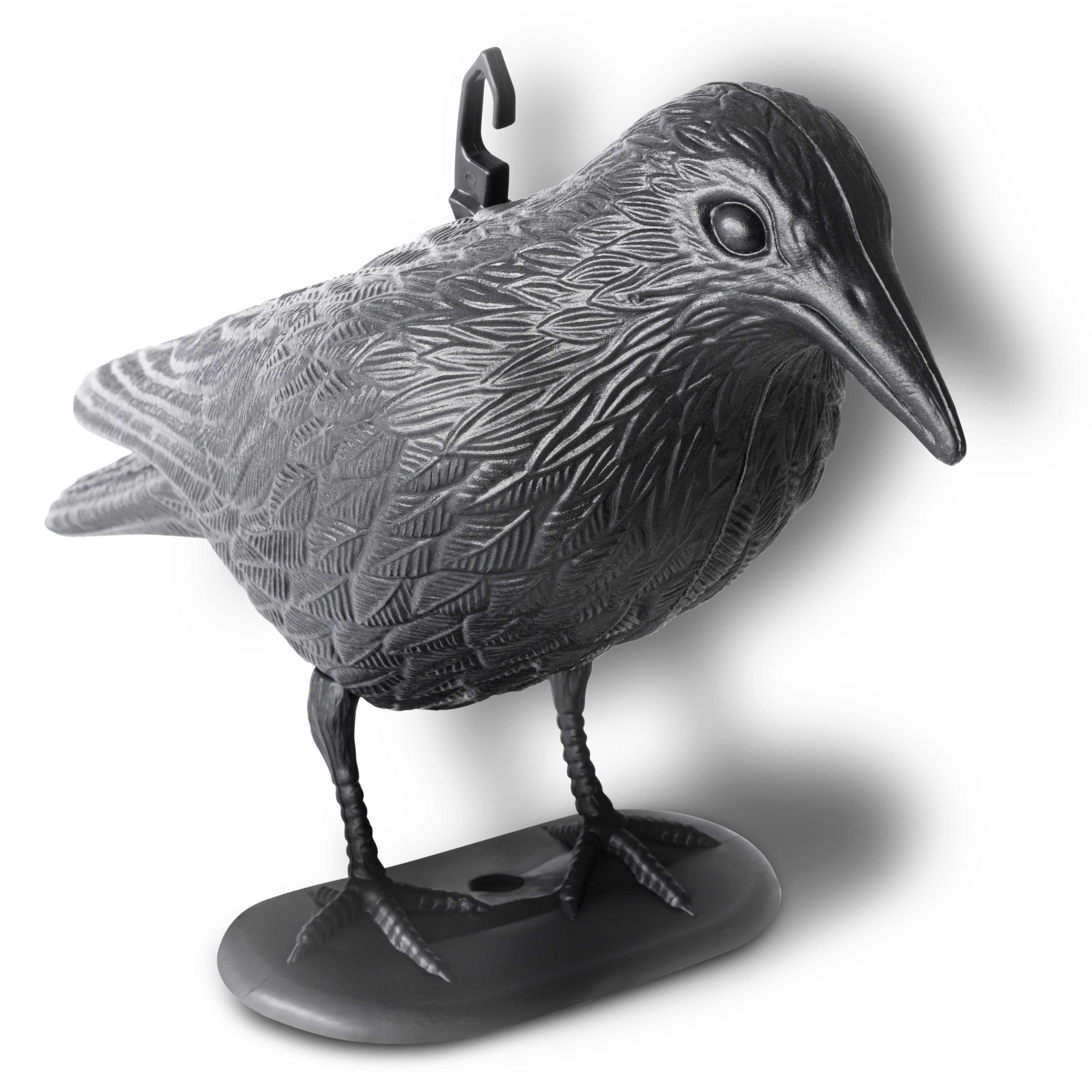 Corbeau Répulsif anti-Pigeons