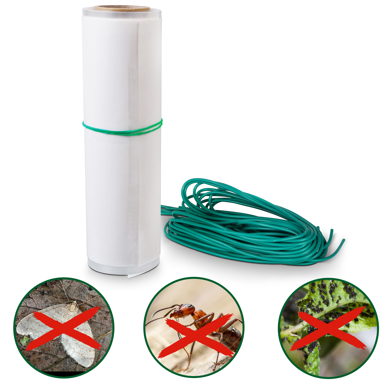 Bande Engluée pour Arbres 5m