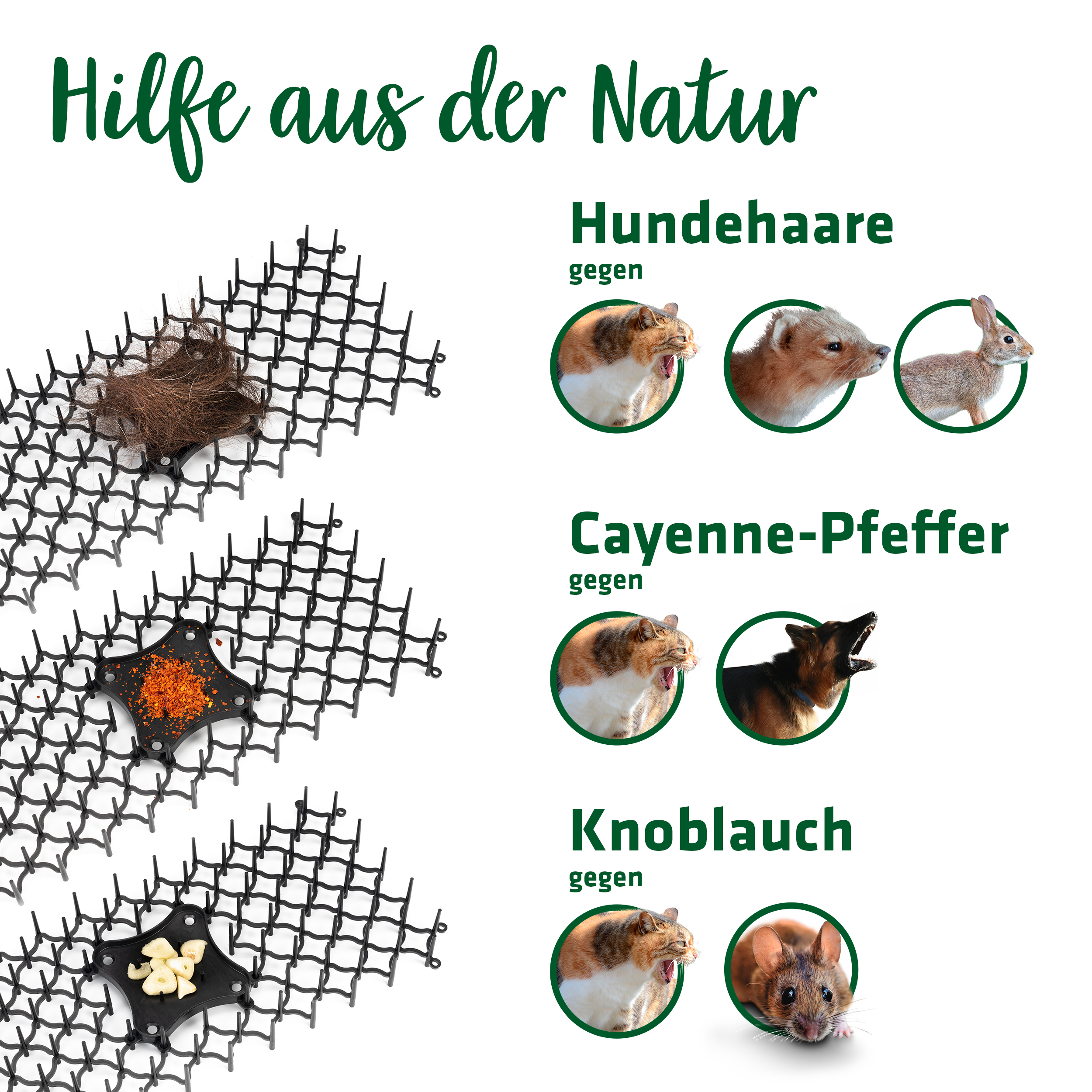 Hausmittel gegen Hunde, Katzen, Marder, Kaninchen & Mäuse