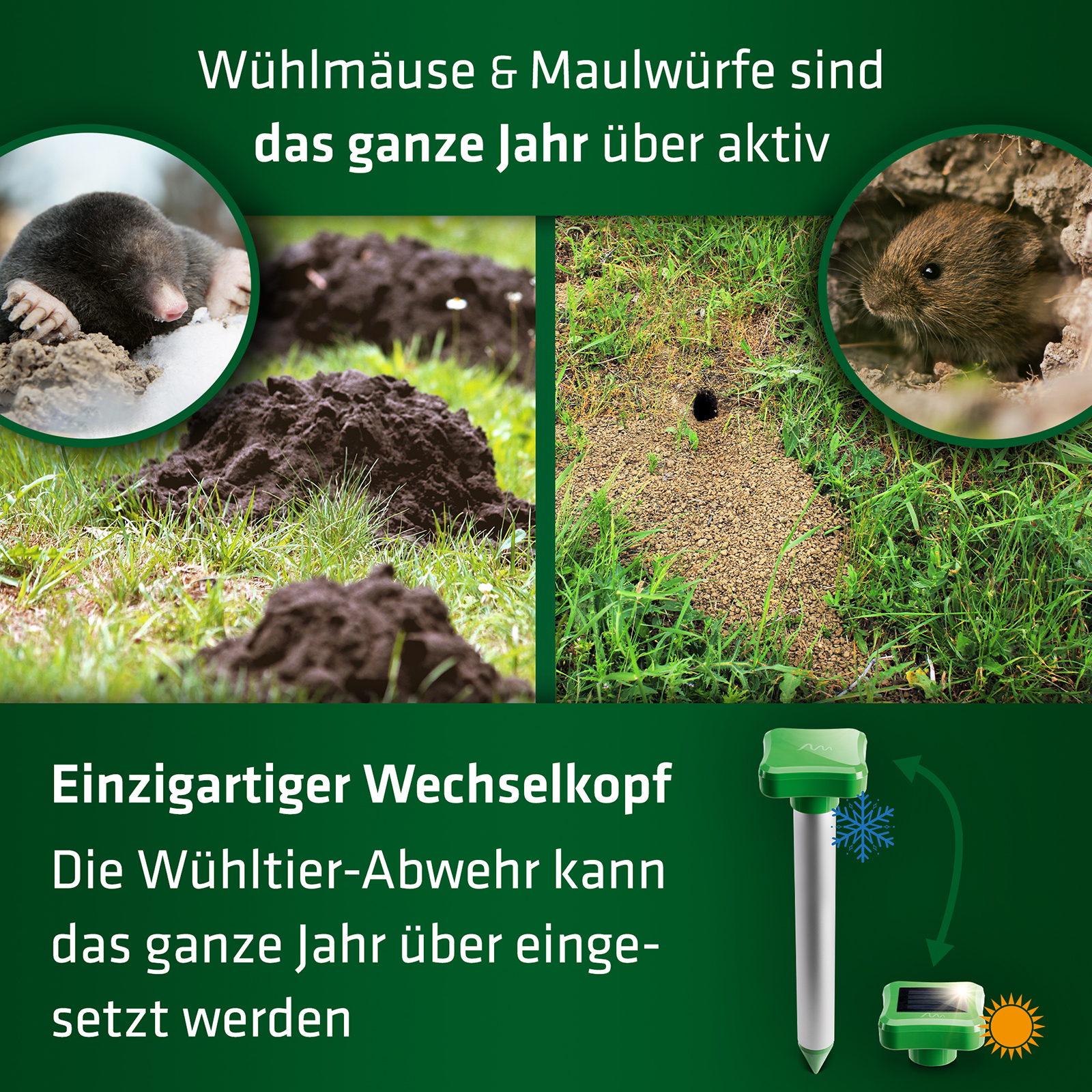 Gegen Maulwürfe und Wühlmäuse, die Wühltier-Abwehr Vier Jahreszeiten von GARDIGO