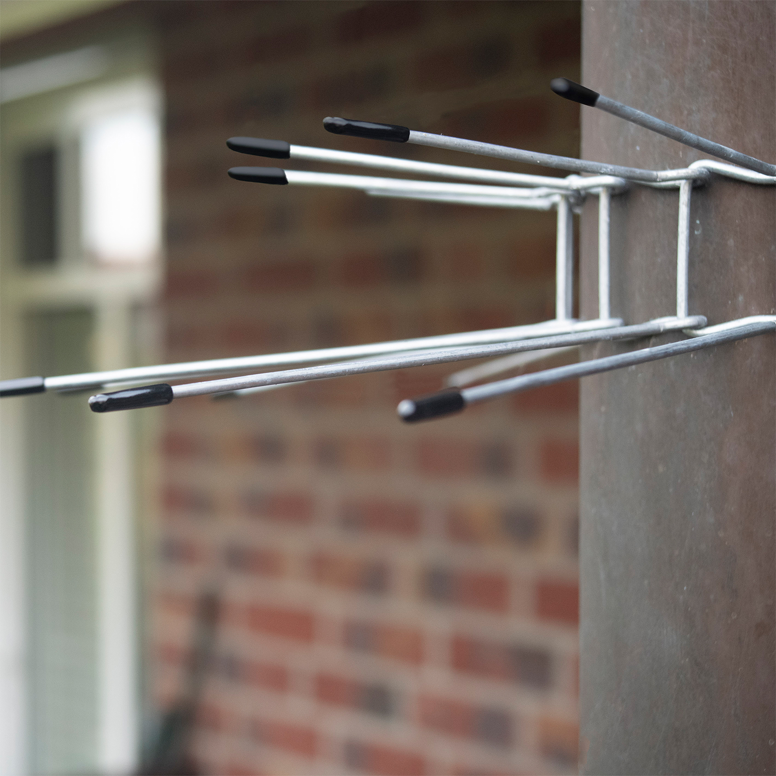 Ceinture de protection anti-martres lot de 2