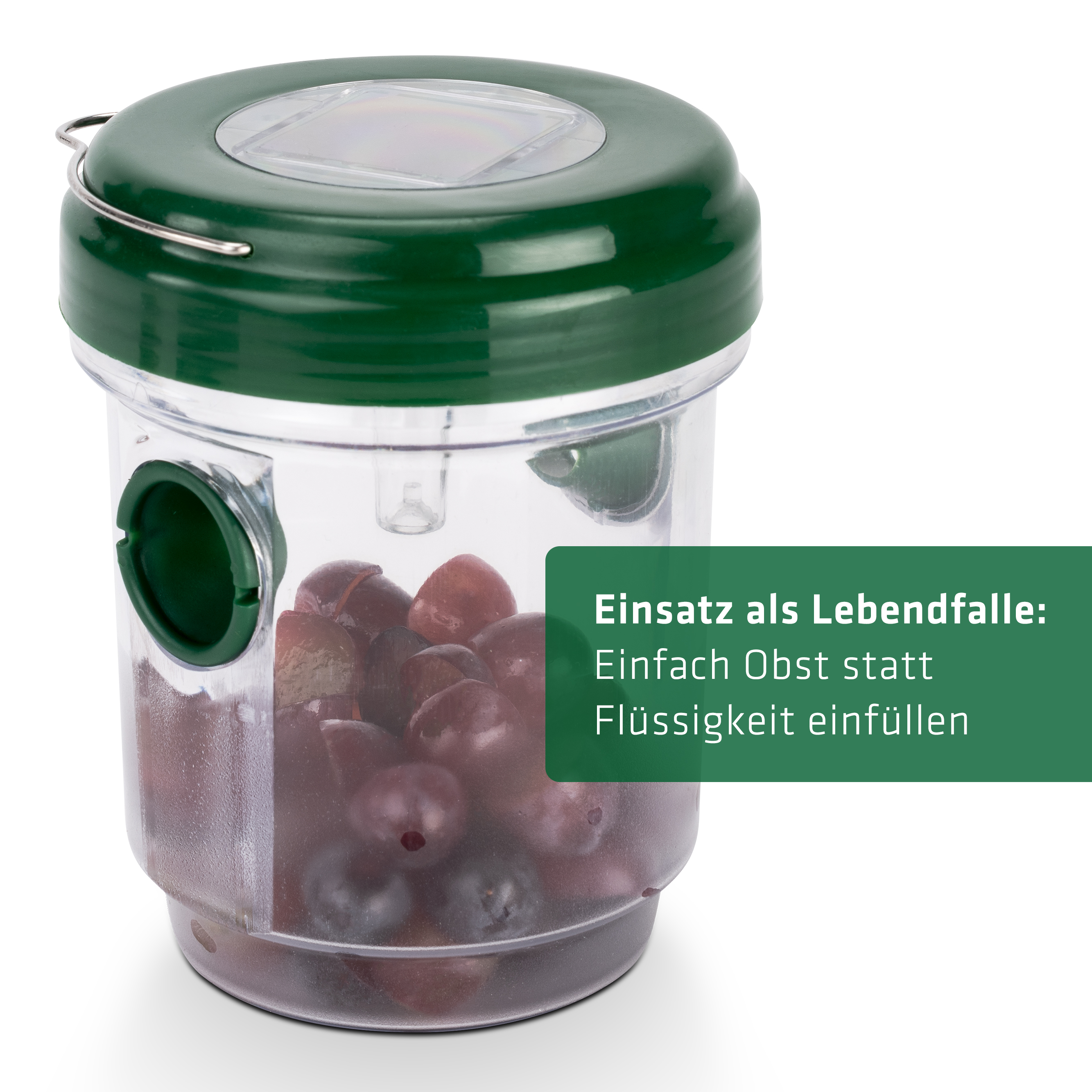 Piège à Insectes solaire