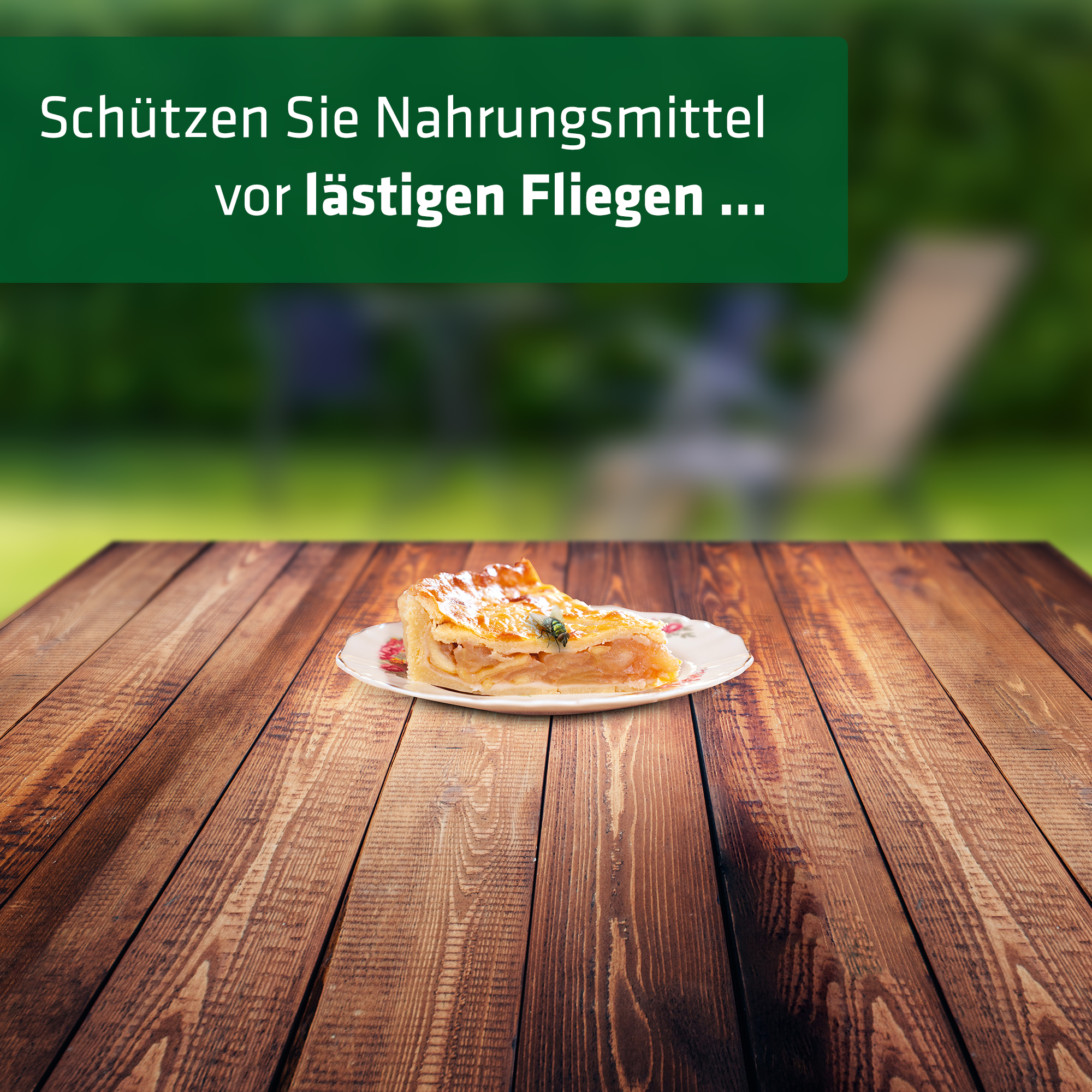 Essen und Getränke müssen im Sommer vor Fliegen geschützt werden, schon aus Gründen der Hygiene!