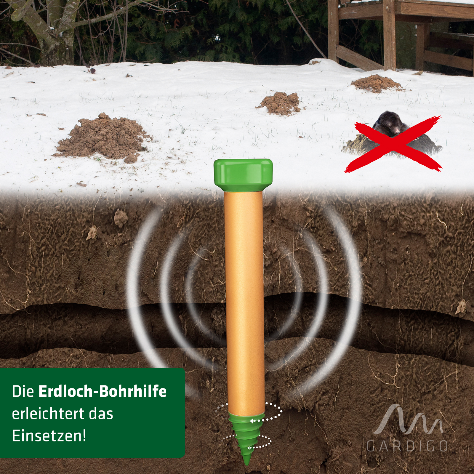 Auch im frühen und späten Winter können Maulwürfe aktiv sein und in Ihrem Garten auftauchen.