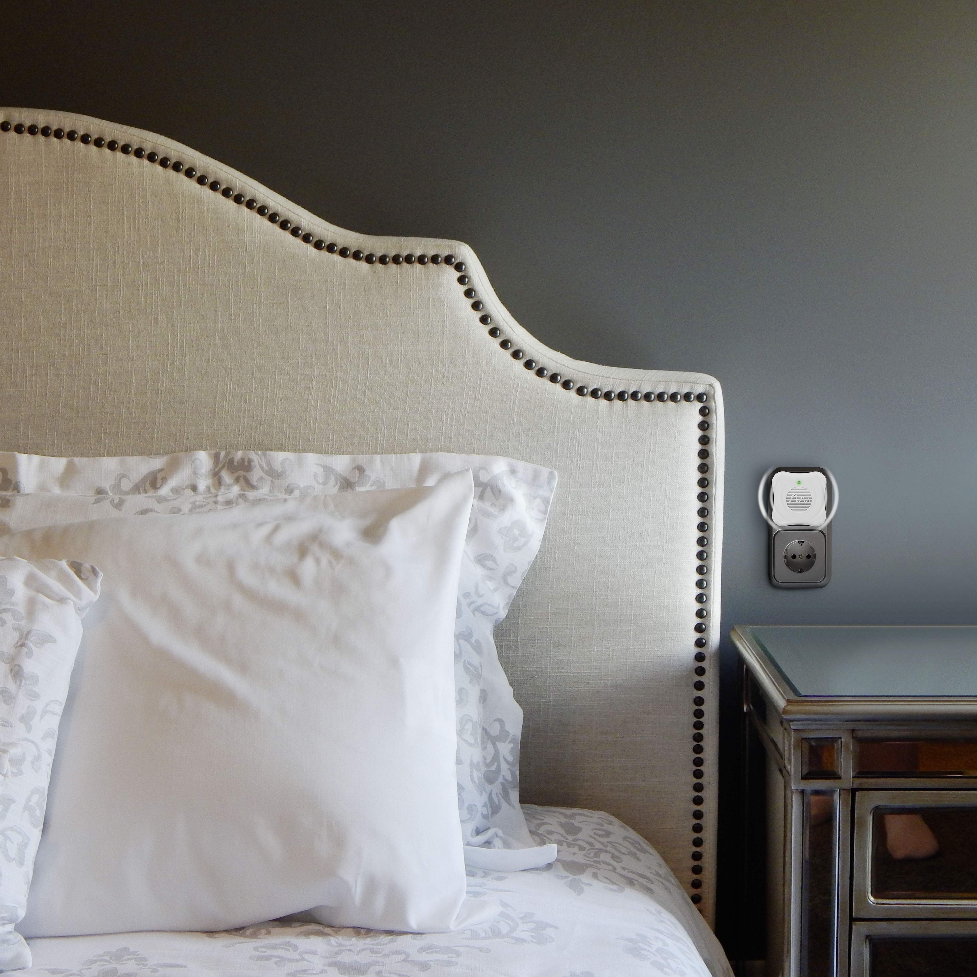 Die meisten Spinnen sind harmlos allerdings fürchten und ekeln sich viele Menschen vor ihnen.