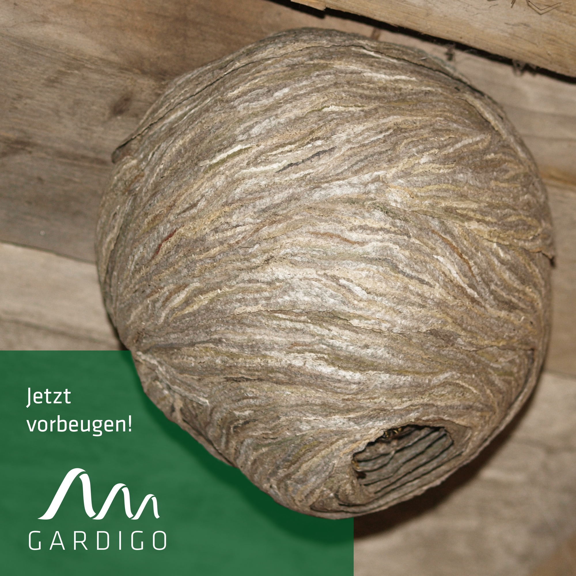 Nid de guêpe artificiel lot de 2