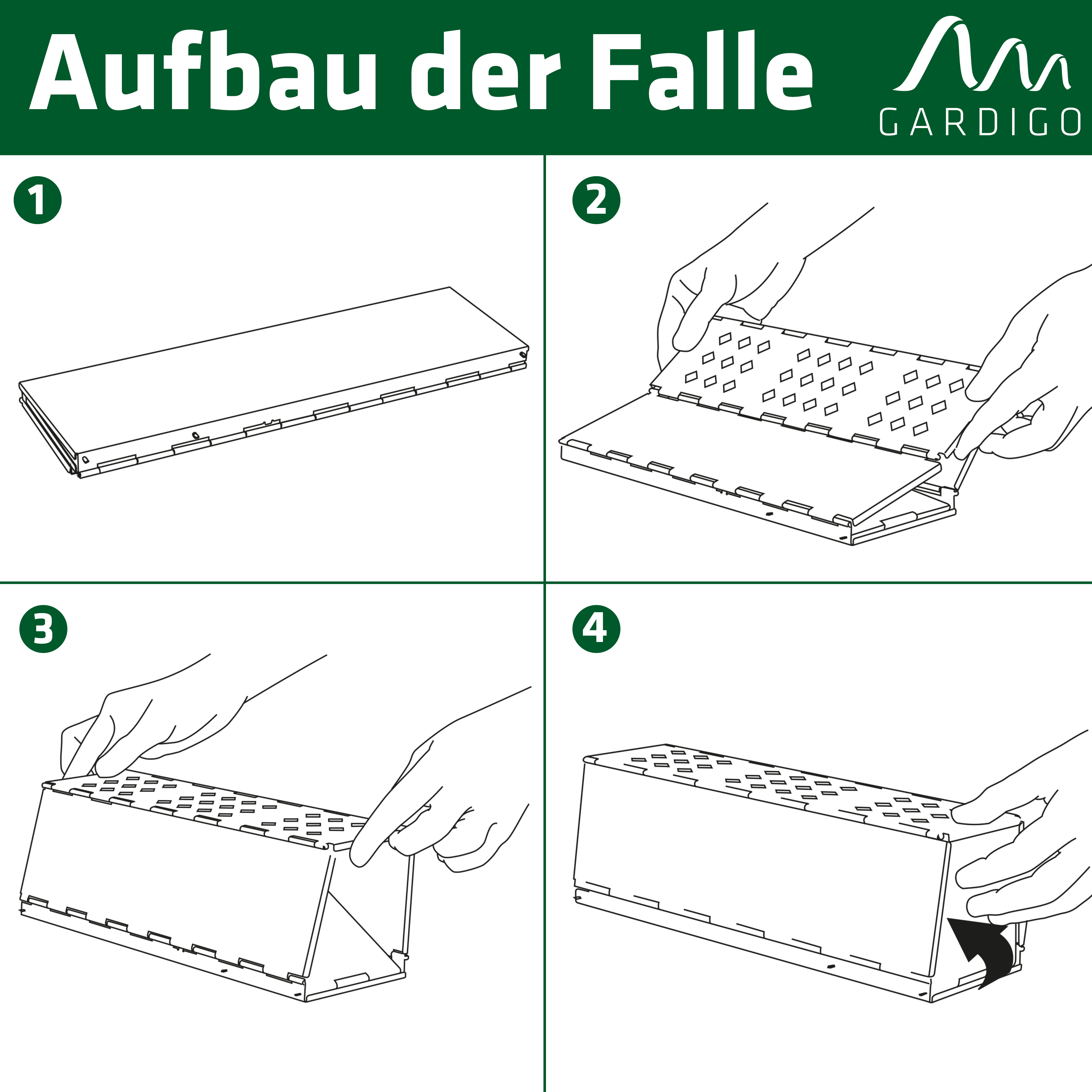 Die Lebend-Rattenfalle wird Ihnen flach zusammengefaltet geliefert und ist zwei Handgriffen aufgebaut.