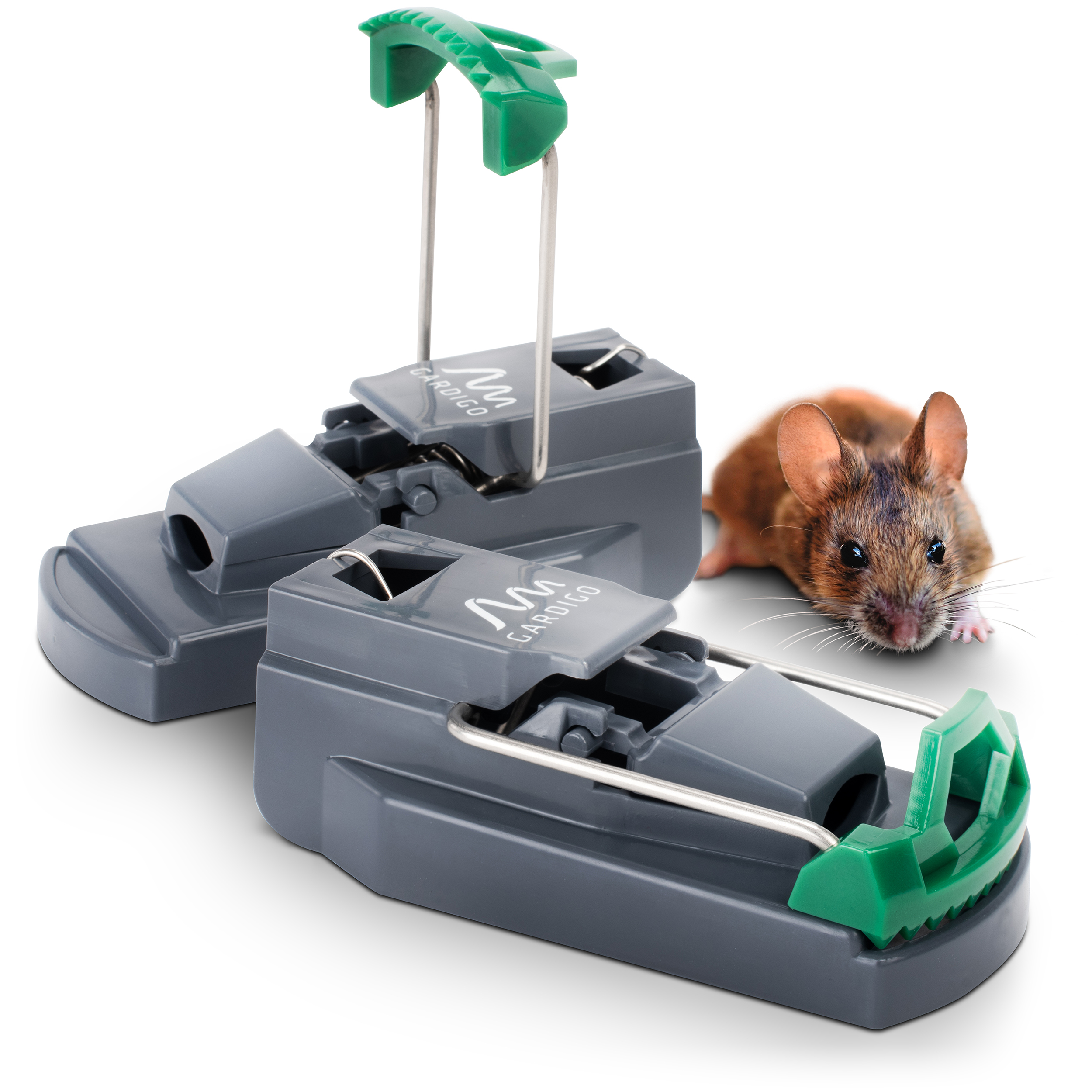 Piège à souris à percussion professionnel