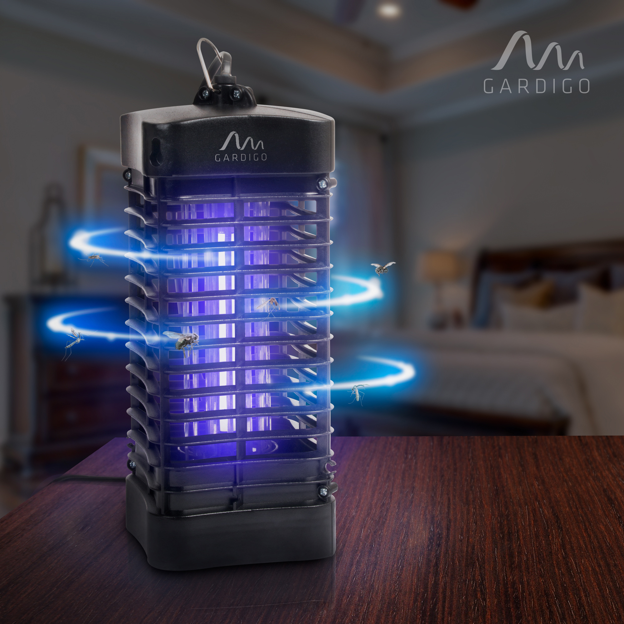 Beim Lüften in den frühen Abendstunden gelangen zwangsweise Fliegen und Mücken in die Wohnung.