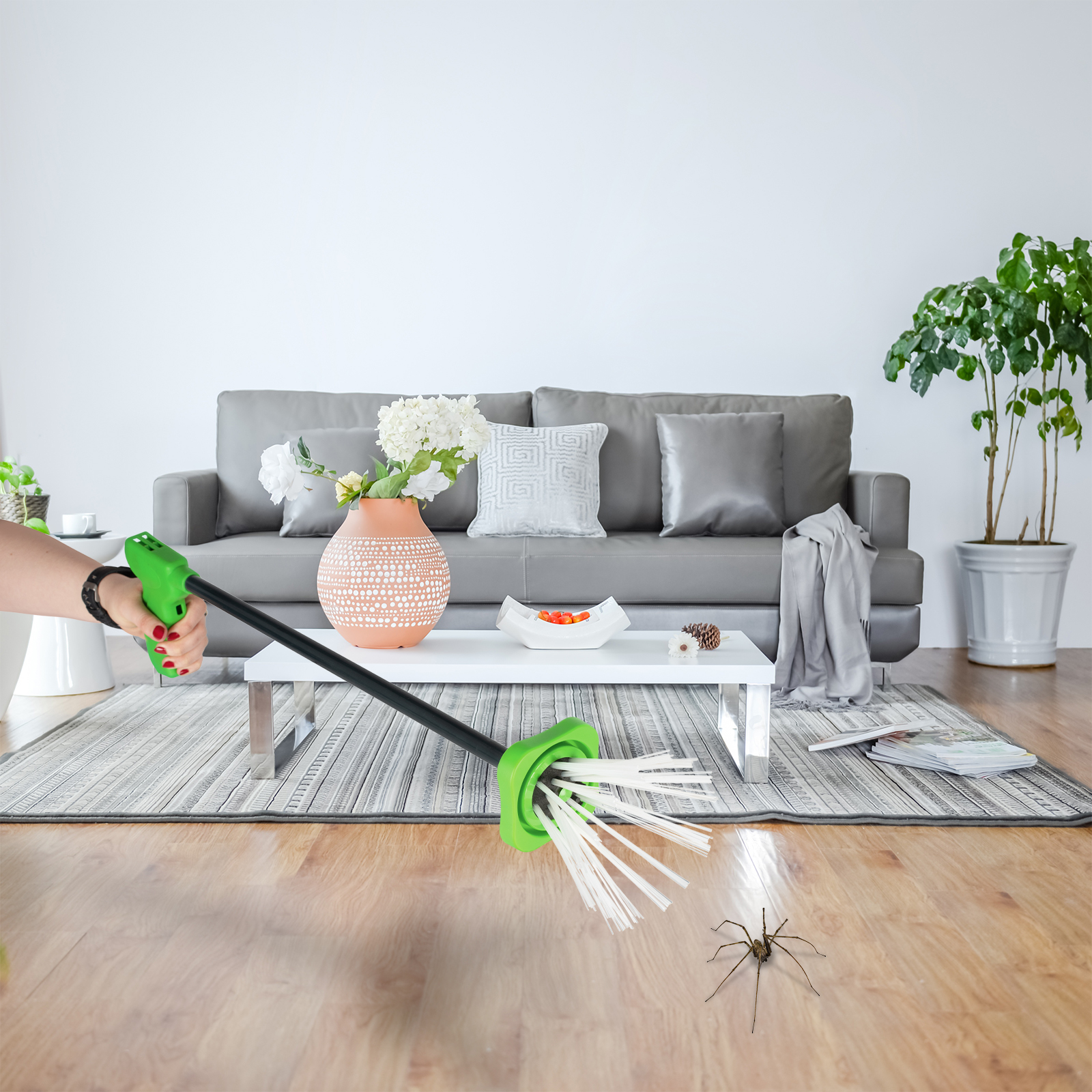 Für Menschen mit Angst vor Spinnen ist es schwer sie loszuwerden & so können sie dies aus sicherer Entfernung.